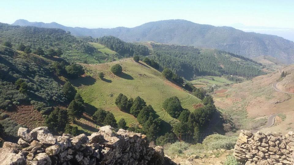 Cabanas Valle Verde Moya  Kültér fotó