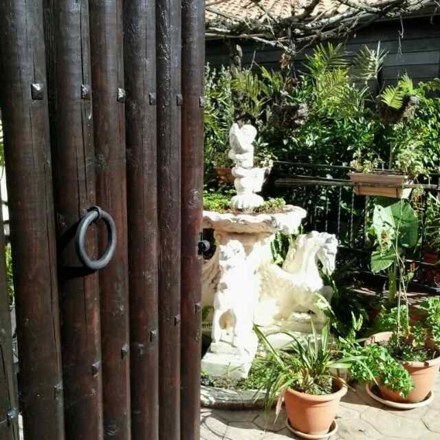 Cabanas Valle Verde Moya  Kültér fotó