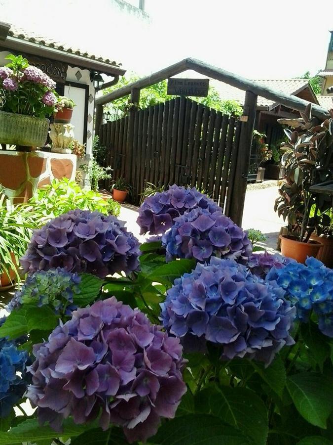 Cabanas Valle Verde Moya  Kültér fotó