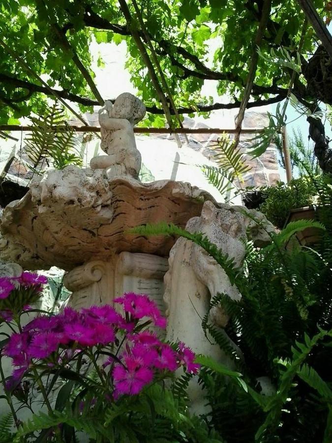 Cabanas Valle Verde Moya  Kültér fotó